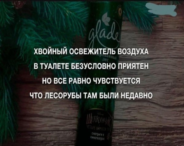 1IPn55TdJbs