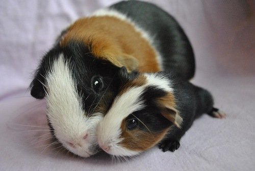 М0 7879b 7f6b2248 L