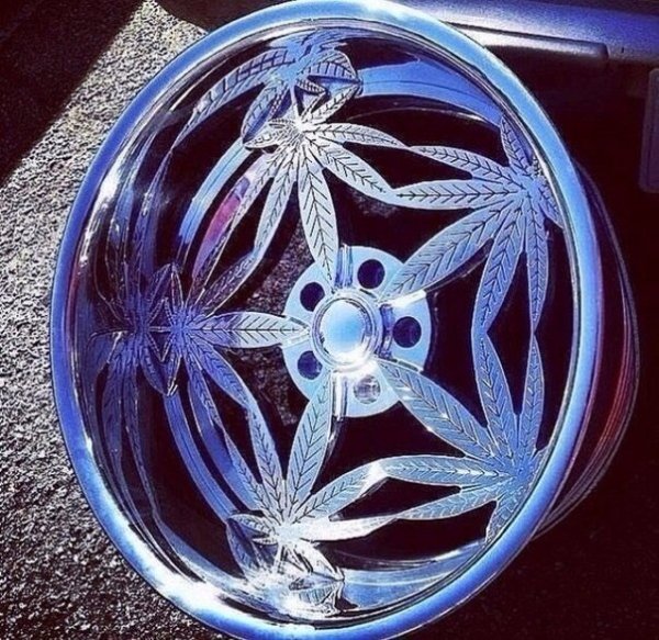 CYM9SjAs5 s