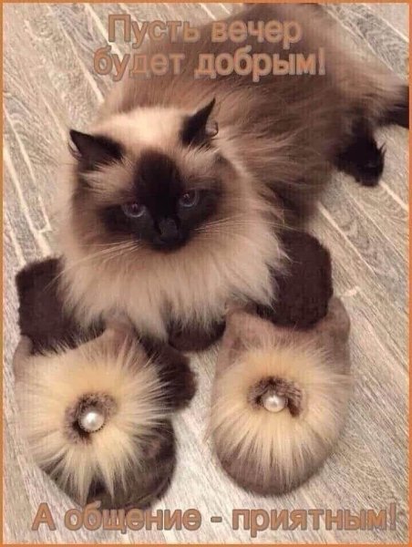 89b2e7c760e3a62256ff1bce6e493257