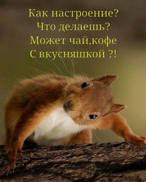 Чё делаешь!!