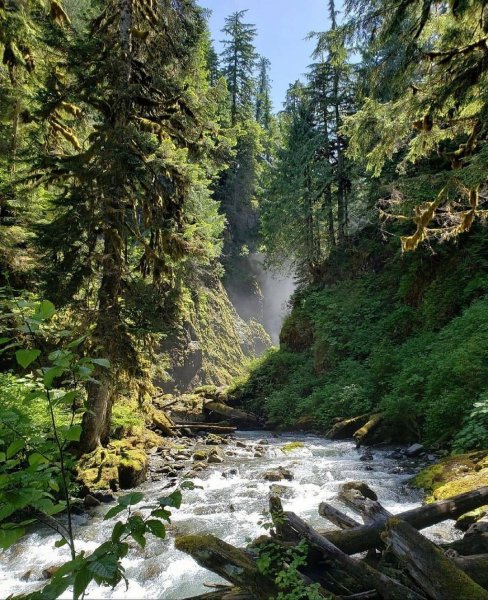 23-39-31-184372799 1877688272407587 6628349545343698133 n