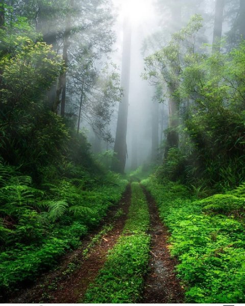 13-24-35-186316500 1236748513395069 4180841524480776952 n