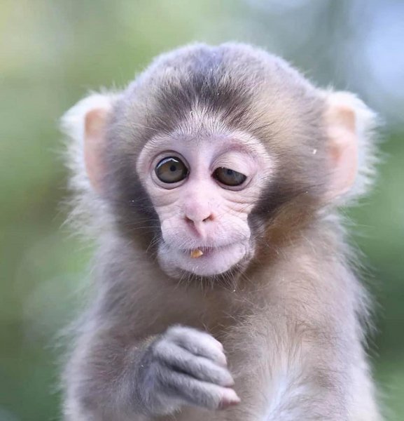 71D6D544-CE39-4EAE-ABA0-1DC4CD80B8B7