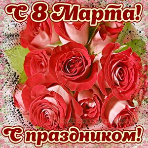 s-8marta0072