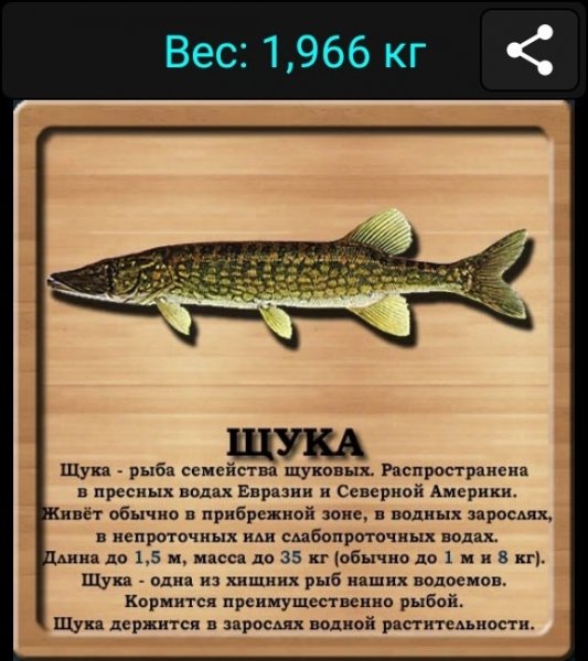 Щука