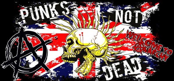 chashka-punks-not-dead-welcom-anarchy-2