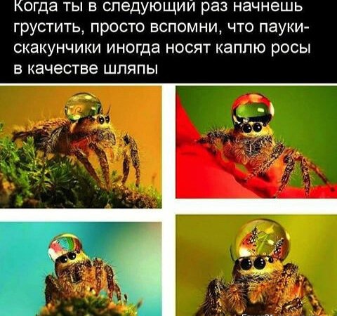 IMG 20200701 223154