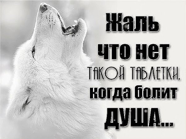image-19