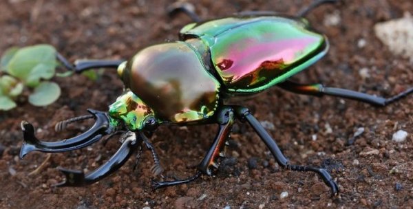 A791e0954c404f21218ddddfdba9d498