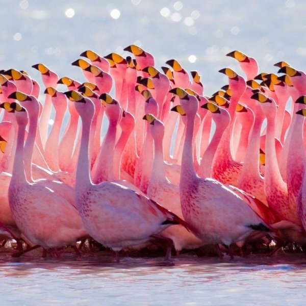 08e57501a0a38f322b44503f8f9b4747