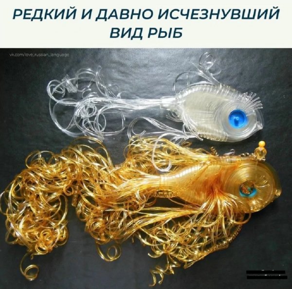 p.1200.1200.0