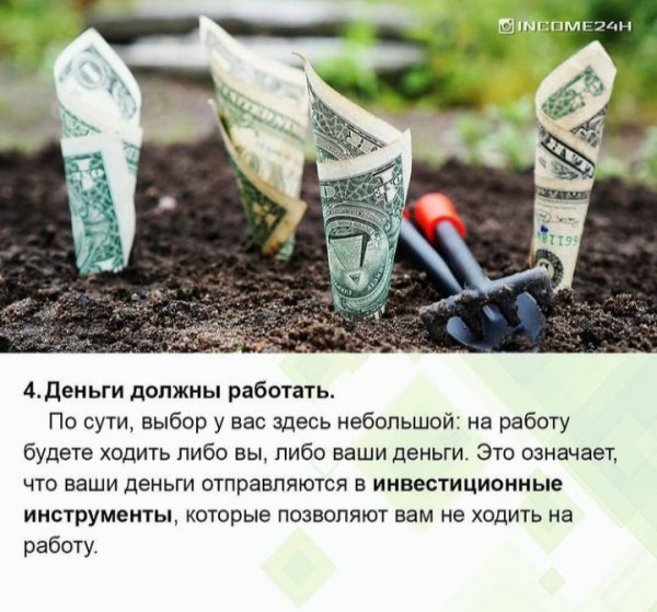 Посадить деньги
