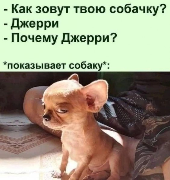 Опаньки!