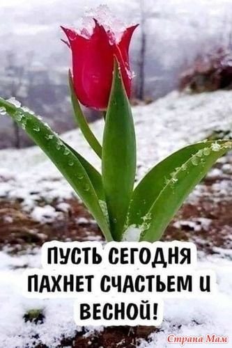 E8f3f798099d5037cf03885222df0aee