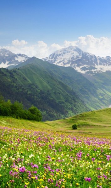 Screenshot 20251201-022115 One UI Home