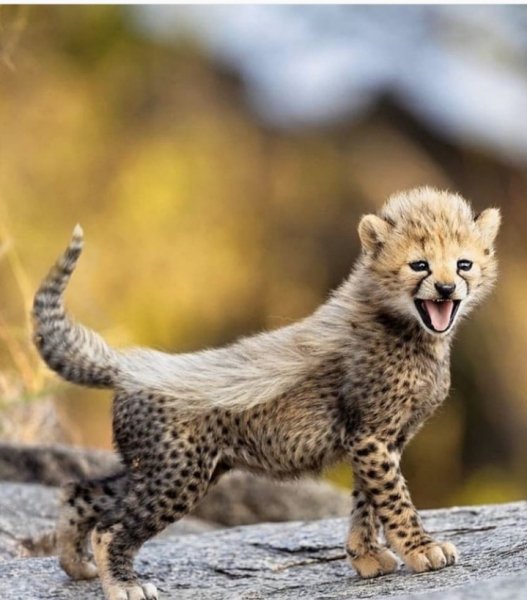 Screenshot 20211110 121735