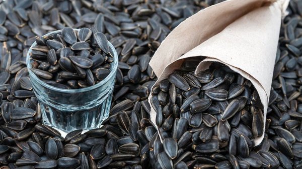 IMG 20251208 190844 611