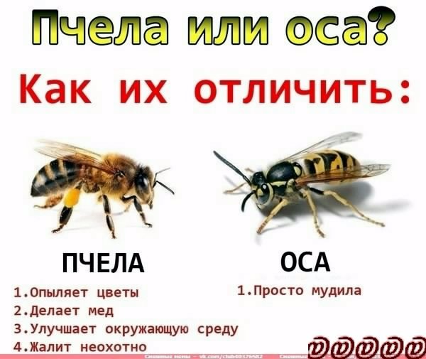 3969 ш2