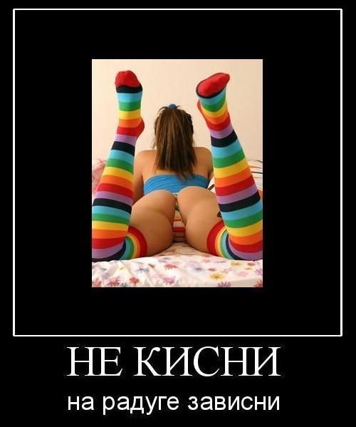 picture_278863099