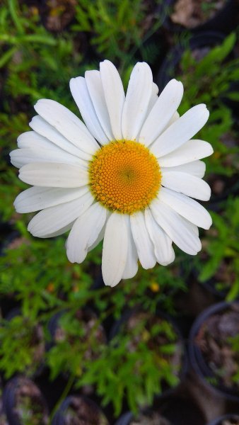 IMG 20210607 190749