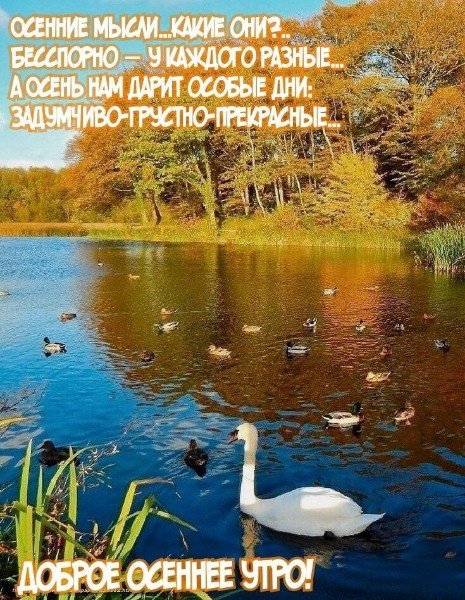 picture_348997837
