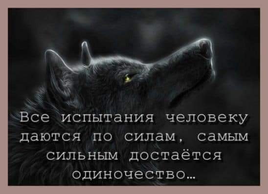 FB IMG 1648483075563