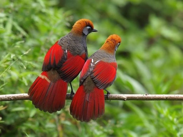 0b864fc4d4430b2db831071dc983485a