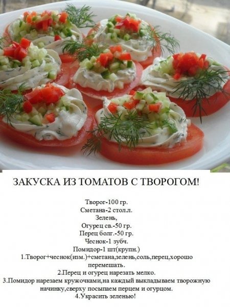 ЗАКУСКА ИЗ ТОМАТОВ С ТВОРОГОМ