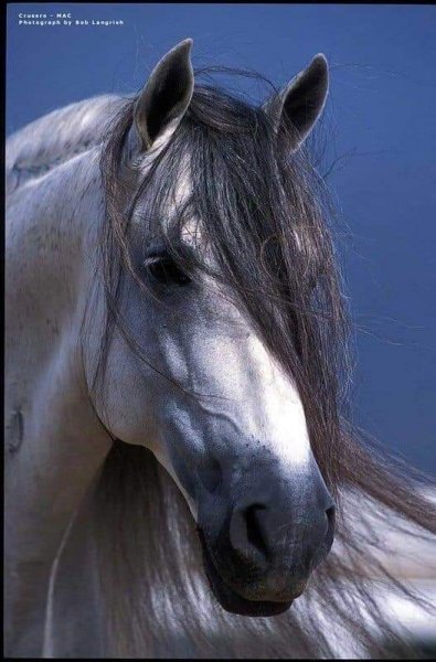 23-04-15-240924147 10223930364321235 1642639706210775210 n