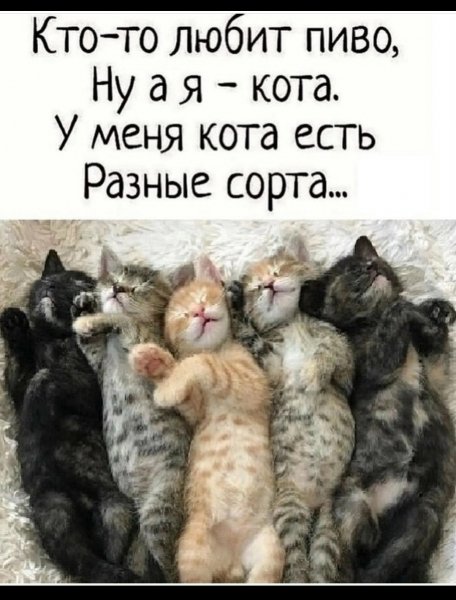 JSQ3QUpGs0OuxuoXCj0G8IdTzv UdMkuJ4cuyy2HMR8lRTYNMZwyXsjL8HP4