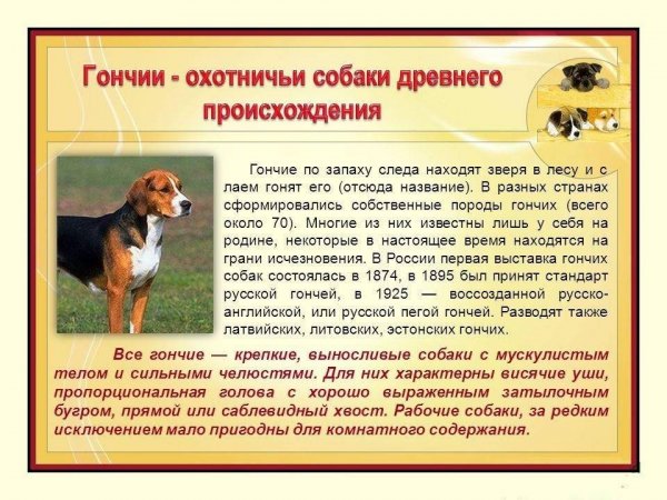 Гончии