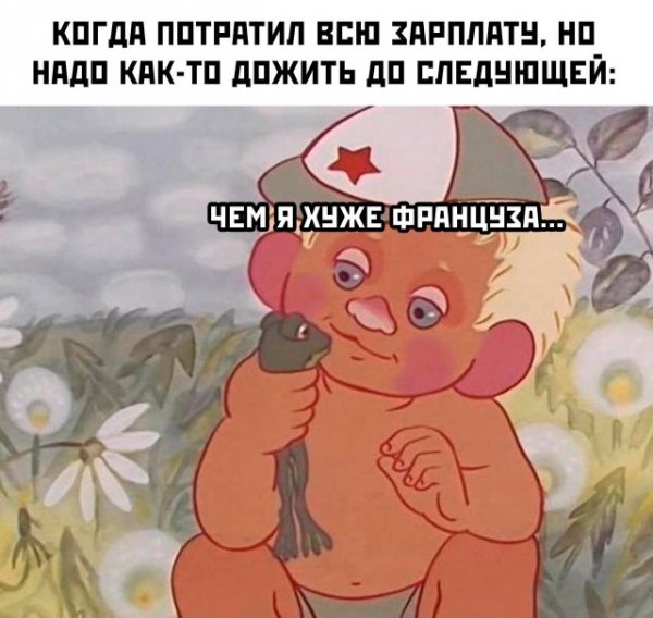 A0031abbd6 20495518