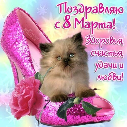 IMG-20190308-WA0005