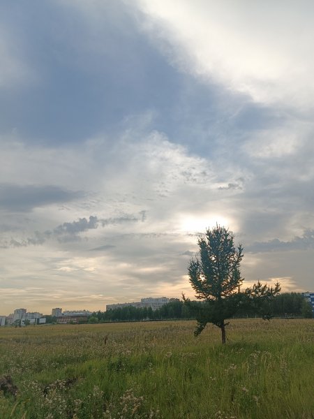 IMG 20230815 174947 817