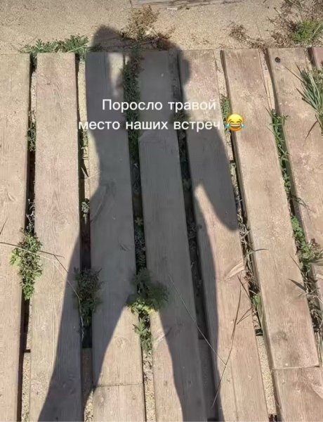 Поросло )