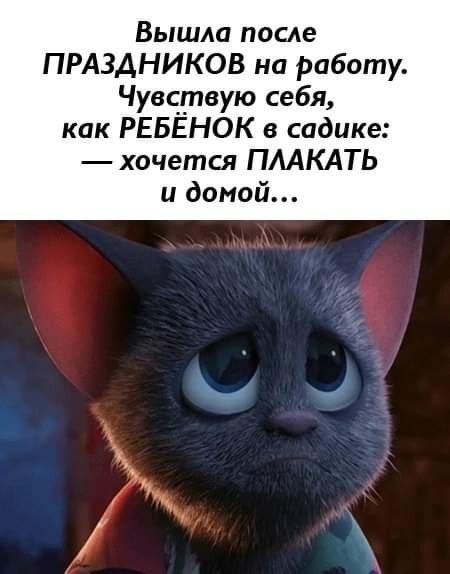 FB IMG 1705138937728