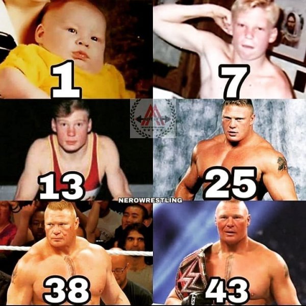 Wwe (42)