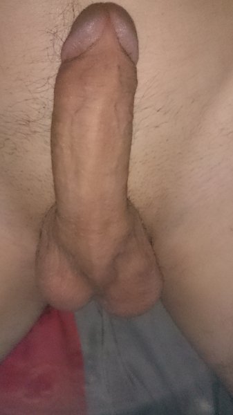 DSC 0444