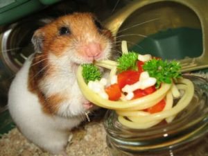 pasta primavera 05-590x442-300x225