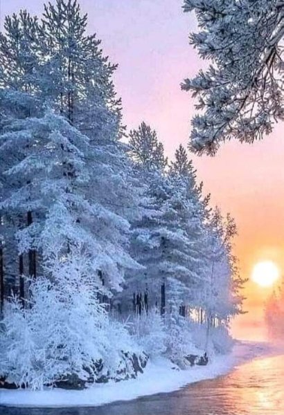зимняя природа