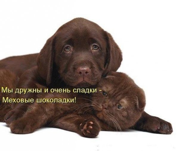 picture_297935824