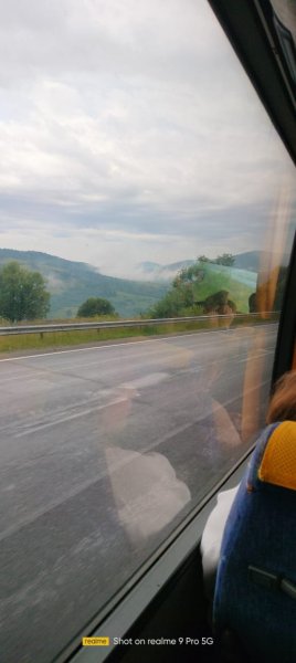 picture_393418538