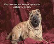 2yxa ru S Dnem Vseh Vlyublennyh Happy Va