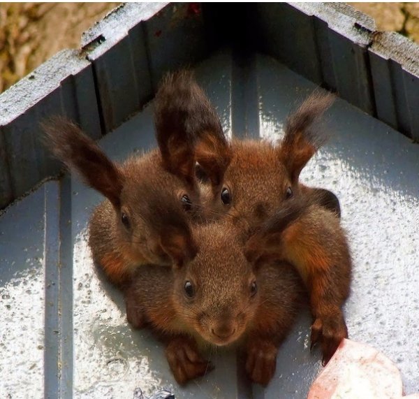 в тесноте да не в обиде!