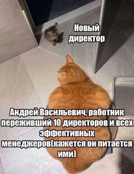 Работник на опыте )