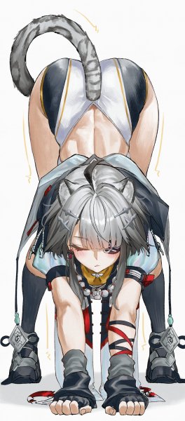 C9aa1ba8c772d5f98245138e5ce47fd8