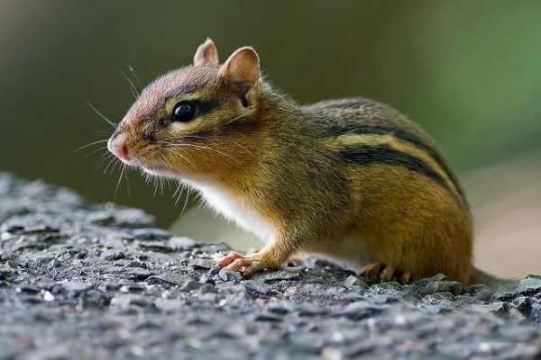 Xl7iADcwMvJaJjXCAT oBCJRI112UsAYZhS2ek0336qxcexWXMVucTnRpqXZ