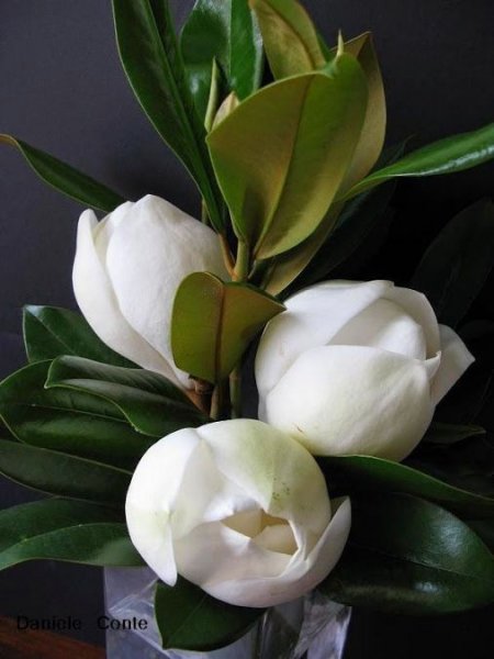 f937f4386e15a6c2173433a8850eb6a6