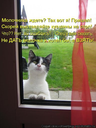 picture_402895909